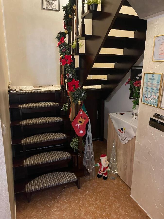 Гостевой дом Casa Cu Pitici Вама Экстерьер фото
