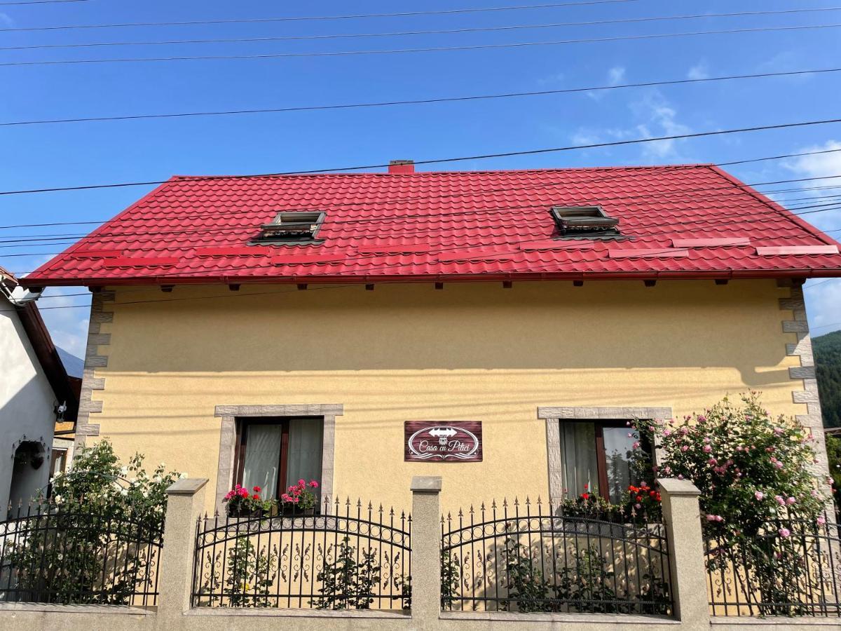 Гостевой дом Casa Cu Pitici Вама Экстерьер фото
