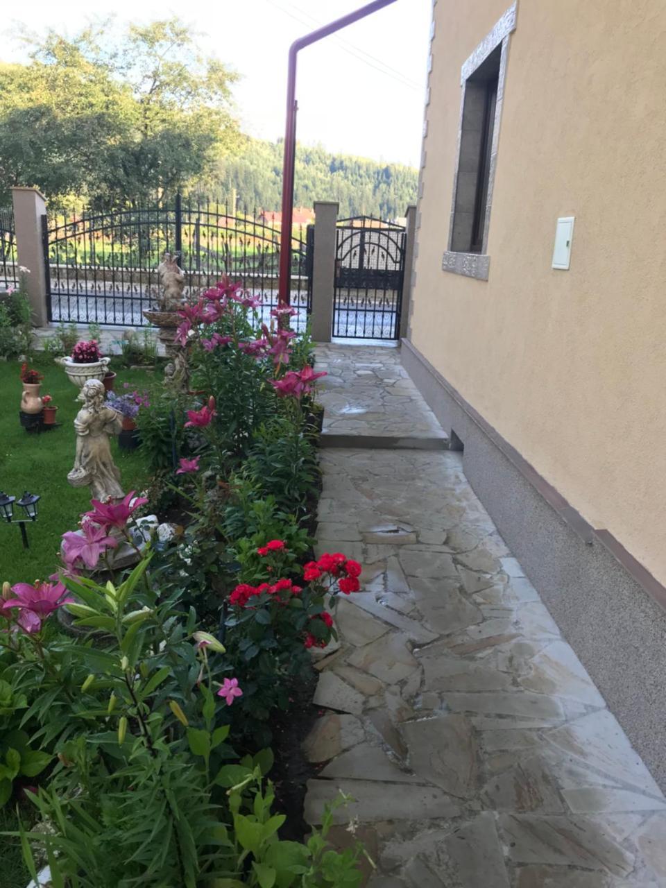 Гостевой дом Casa Cu Pitici Вама Экстерьер фото