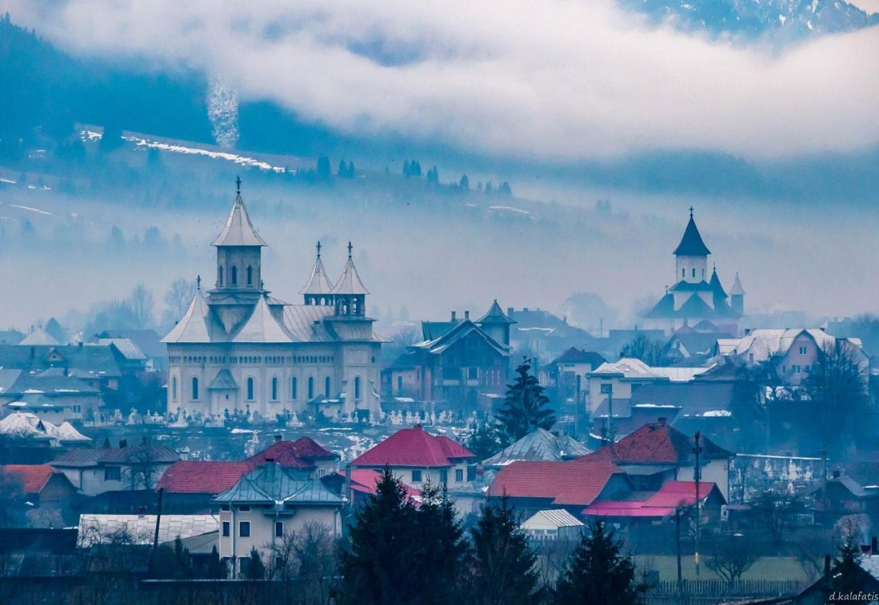 Гостевой дом Casa Cu Pitici Вама Номер фото
